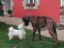 un petit bisou