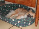 c'set bon la sieste !