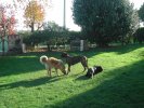 la belle vie au soleil