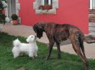 un petit bisou