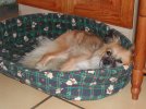 c'set bon la sieste !
