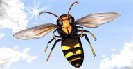 illustration projet livre sur les abeilles (2)
